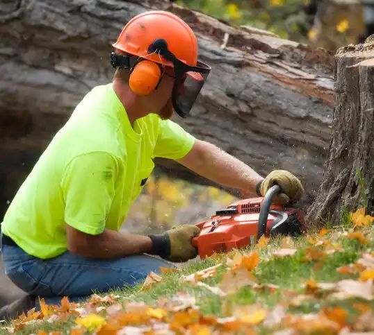 tree services Ruth